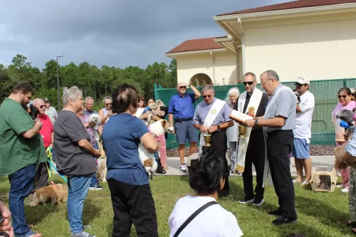 Animal-Blessing-2025-0003