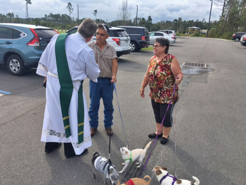 Blessing-Animals-Web-2017-010