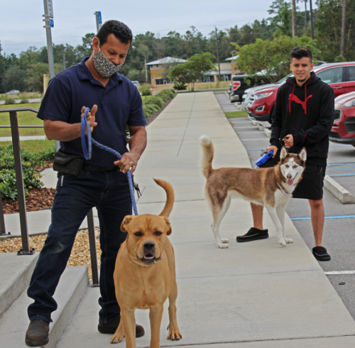 blessing-animals-2020-003