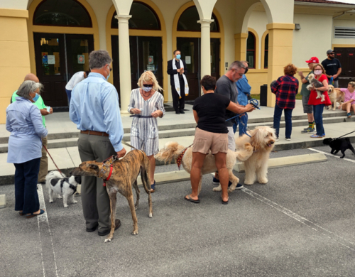 blessing-animals-2020-015