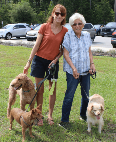 blessing-of-animals-2023-0033