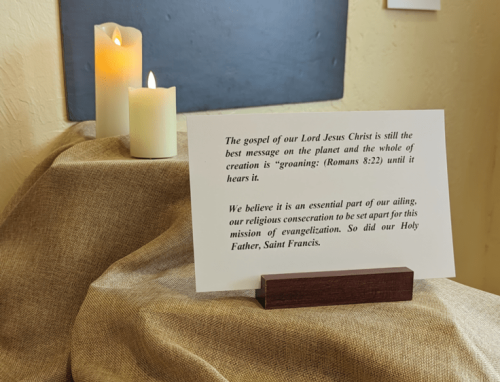 narthez-display-2023-0002